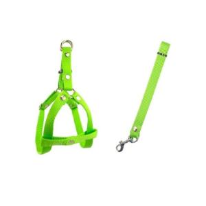 JGO CORREA Y PECHERA No.2.5 GRANDE