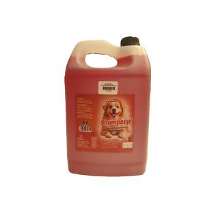 SHAMPOOPI CONCENTRADO FRUTOS ROJOS GALON 3.78ML.
