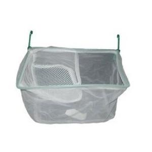 MATERNIDAD DE RED CHICA