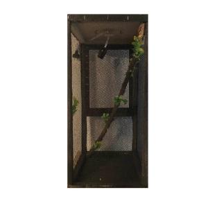 IGUANARIO MED FERI 30X30X60CM NEGRO