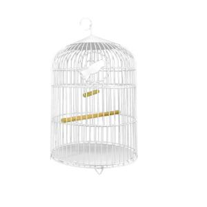 PERIQUERA MINI (26X38CM)