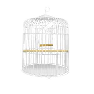 PERIQUERA MEDIANA(40X45CM)