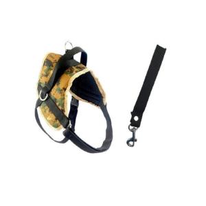 JUEGO CORREA Y PECHERA K9 No.4