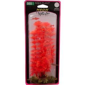 PLANTA LUDWIGIA NEON/ PERLA BLANCA 21 CM.