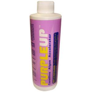 PURPLE UP 227 ML.