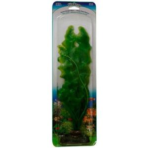 PLANTA ROSAL ESP/VALISNERIA 33 CMS.