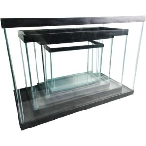 JUEGO 4 PEC.ALTAS 1-3-6-12 G.