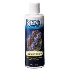KENT LIQUID CALCIUM 236ML.