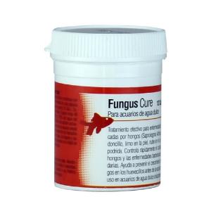 FUNGUS CURE 12 CAPSULAS