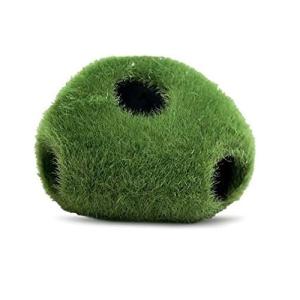 ROCA ESCONDITE MUSGO CHICA