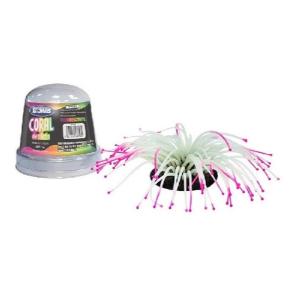 ANEMONA FLUORECENTE LOMAS