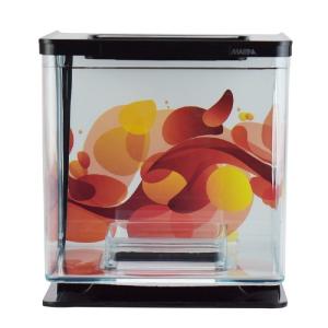 BETTA KIT ESFERA SOLAR 2LTS