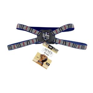 ARNES GDE AZUL BERRYDOG P/MASCOTA
