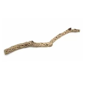 RAMA CARDENCHE GRANDE