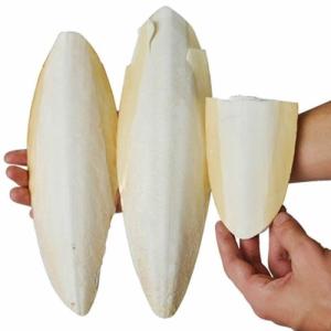 JIBIA PARA AVES KILOS