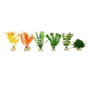 PLANTA IMPORTADA SUNNY 4  (6 PLANTAS)