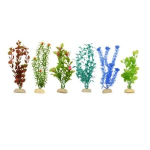 PLANTA IMPORTADA SUNNY 8  (6 PLANTAS)