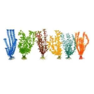 PLANTA IMPORTADA SUNNY 12  (6 PLANTAS)