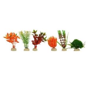 PLANTA SUNNY IMP BOLSA VERDE 4  6 PZAS