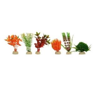 PLANTA SUNNY IMP BOLSA NARANJA 4  6 PZAS