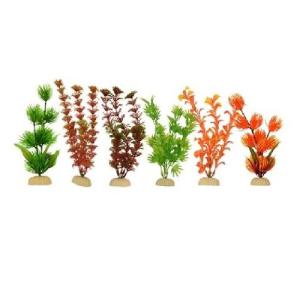 PLANTA SUNNY IMP BOLSA NARANJA 8  6 PZAS