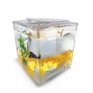 BETERA MANZANA CON  LAMPARA Y GEMAS