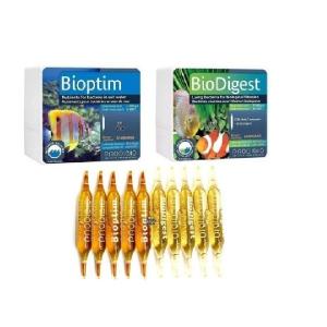 BACTERIA BIODIGEST 30 AMPOLLETAS